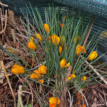 Casa de Férias Gianfranca - Sentiti A Casa *