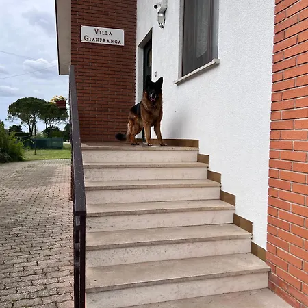 Gianfranca - Sentiti A Casa